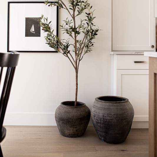 Atelier Black Vintage Olive Tree Pot Medium - Luxe B Co