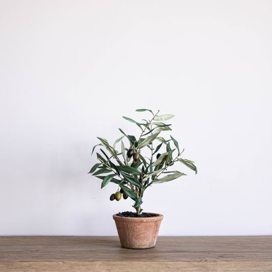 Piccolino Faux Potted Olive Tree