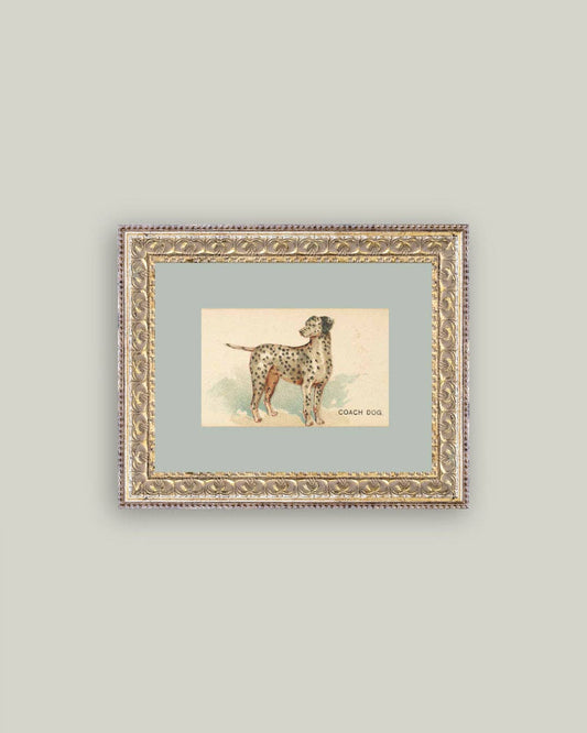 Dalmation Framed Antique Art - Luxe B Co
