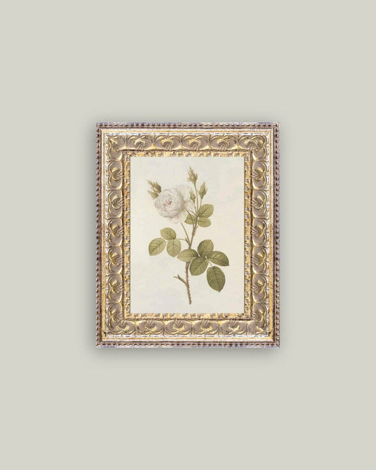 Misty Rose Framed Antique Art - Luxe B Co