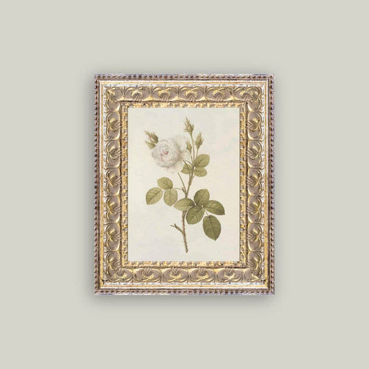 Misty Rose Framed Antique Art - Luxe B Co