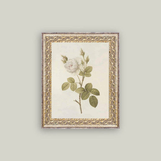 Misty Rose Framed Antique Art - Luxe B Co