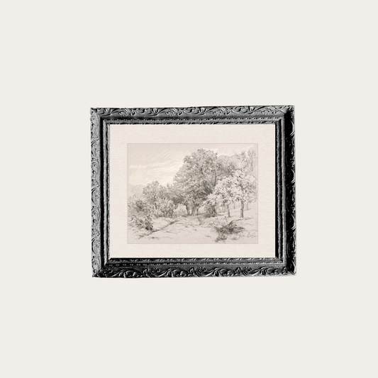 Summer Field Sketch Framed Art | By Luxe B Co.