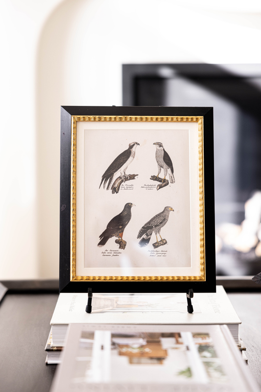 Andover Matted Framed Art | By Luxe B Co.