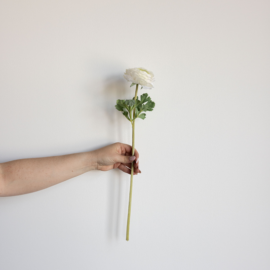 White Ranunculus Stems | By Luxe B Co.
