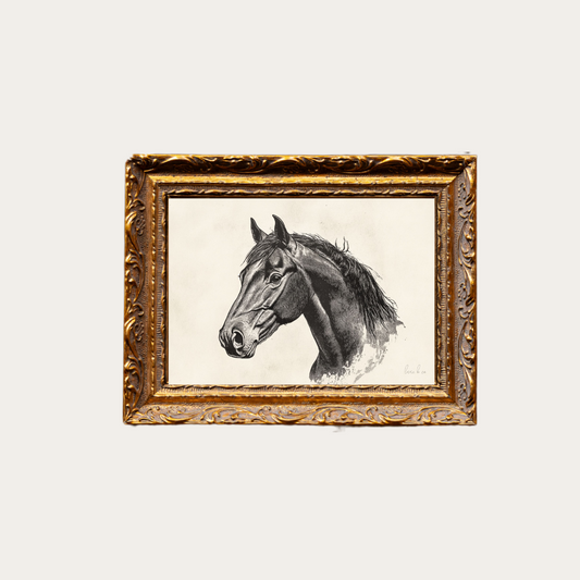 Stallion Sketch | French Brass Gold Mould Framed Art - Luxe B Co