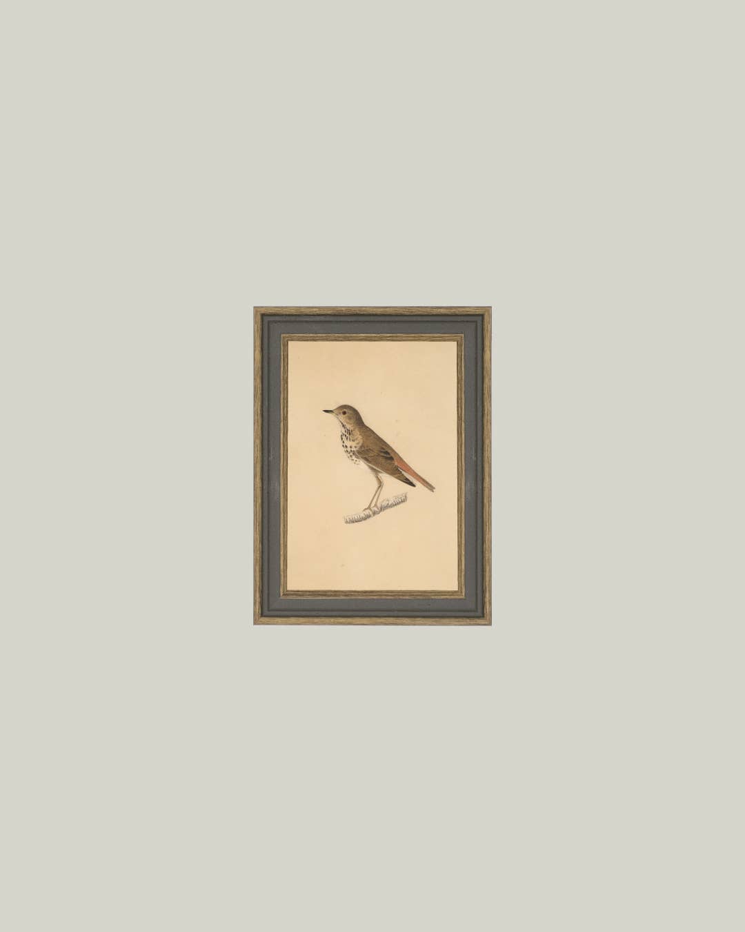 Bird Framed Antique Art - Luxe B Co