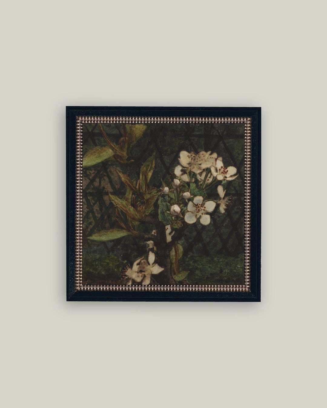 Dark Apple Blossoms Framed Antique Art