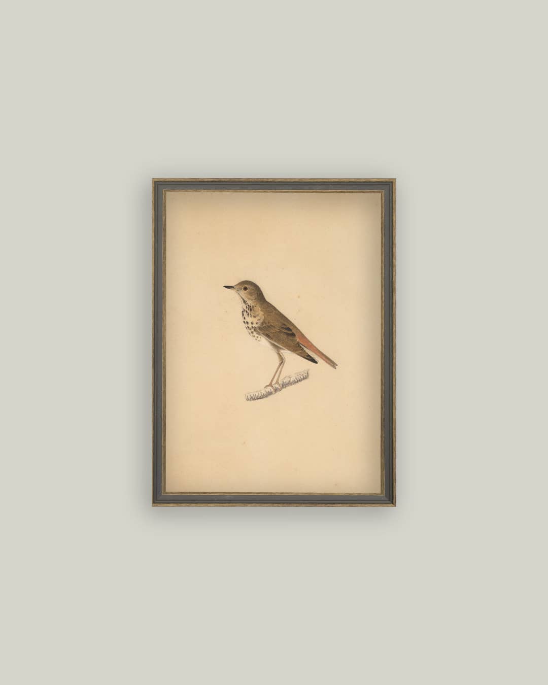 Bird Framed Antique Art - Luxe B Co