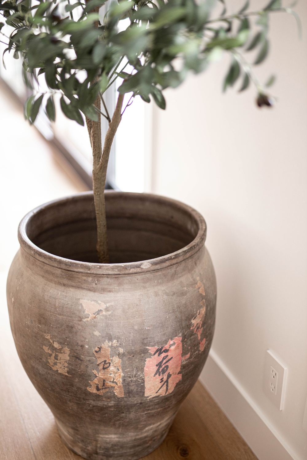 Oversized Olive Tree Pot *Pick up Only - Luxe B Co