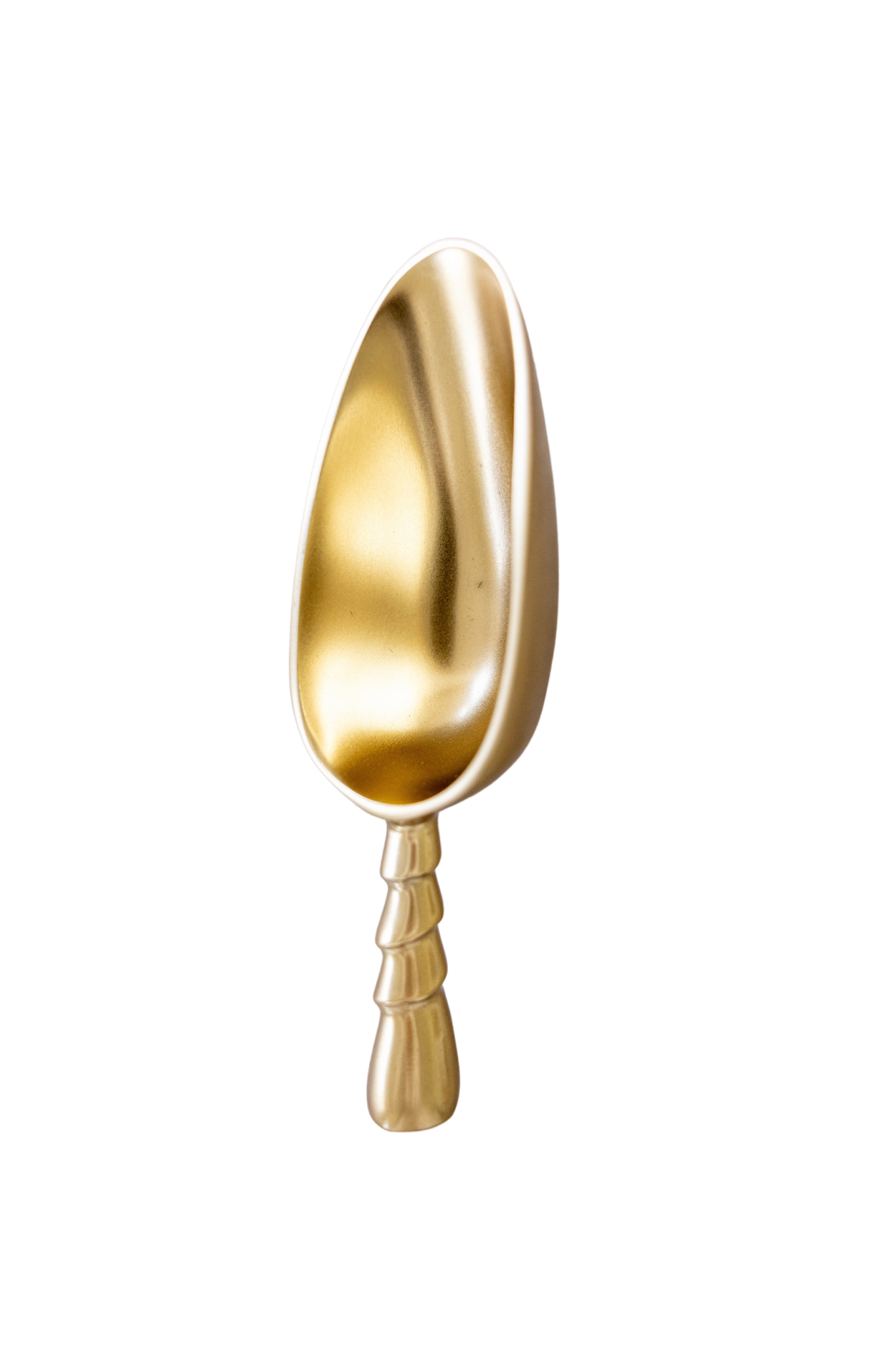 Gilded Ice Scoop