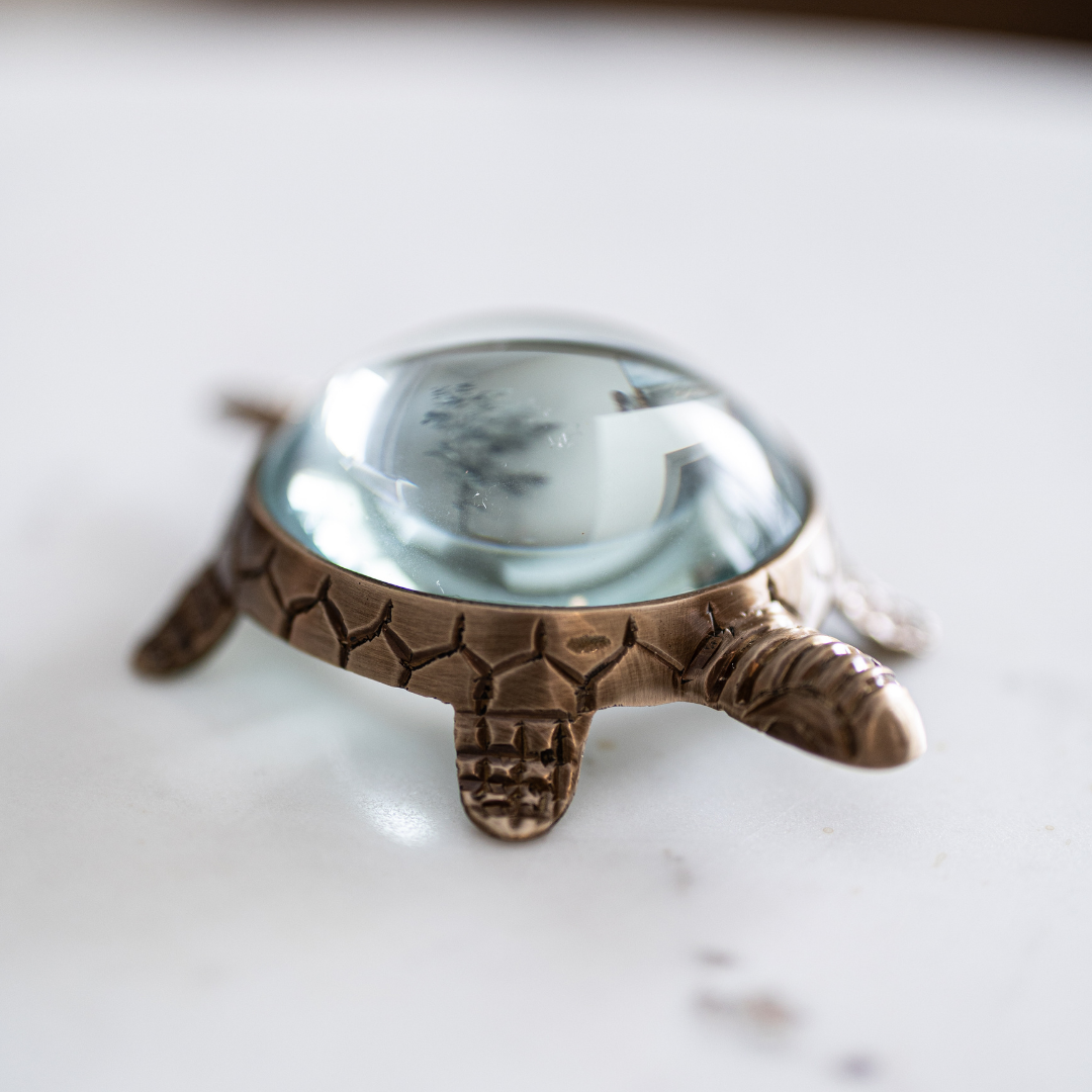 Brass Turtle Magnifying Glass By Luxe B Co. 