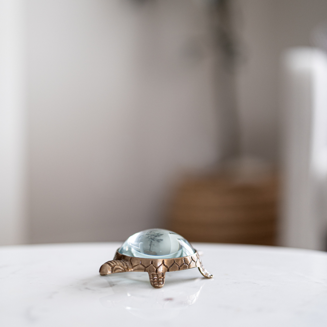 Brass Turtle Magnifying Glass By Luxe B Co. 