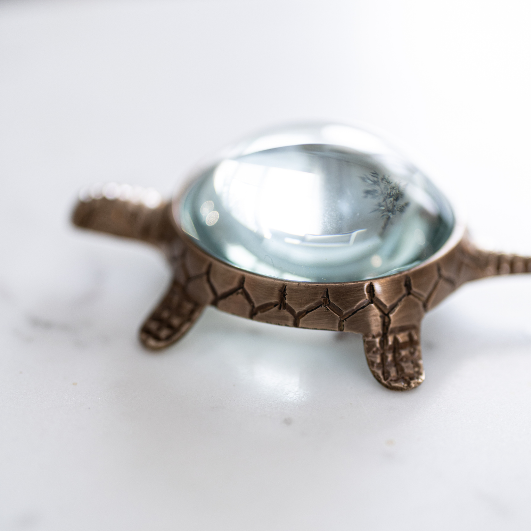 Brass Turtle Magnifying Glass By Luxe B Co. 