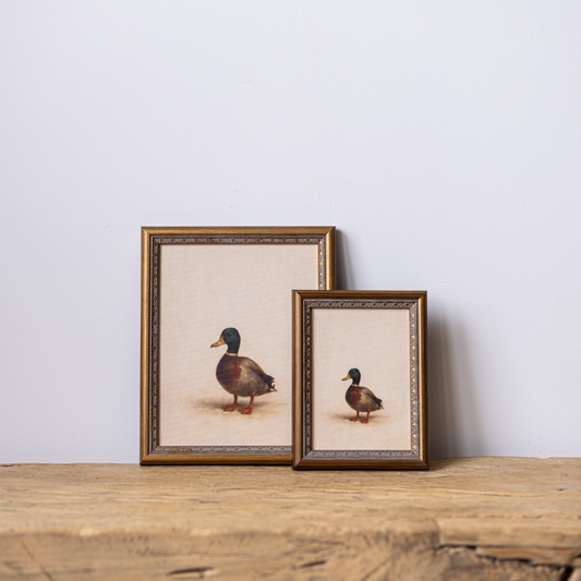 Common Loon | Antique Inspired Brass Mould Framed Art By Luxe B Co.