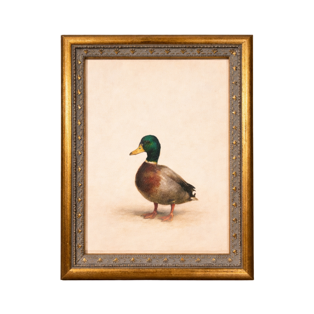 Common Loon | Antique Inspired Brass Mould Framed Art By Luxe B Co. 
