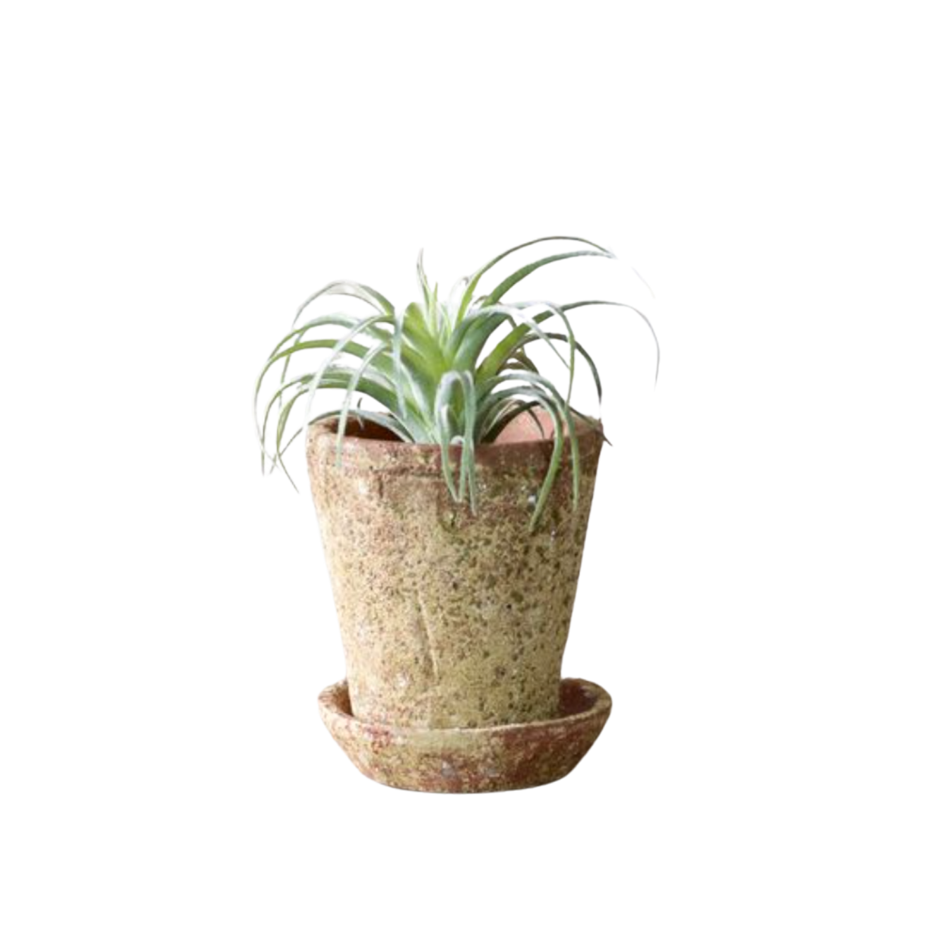 Distressed Sand Pot | By Luxe B Co.