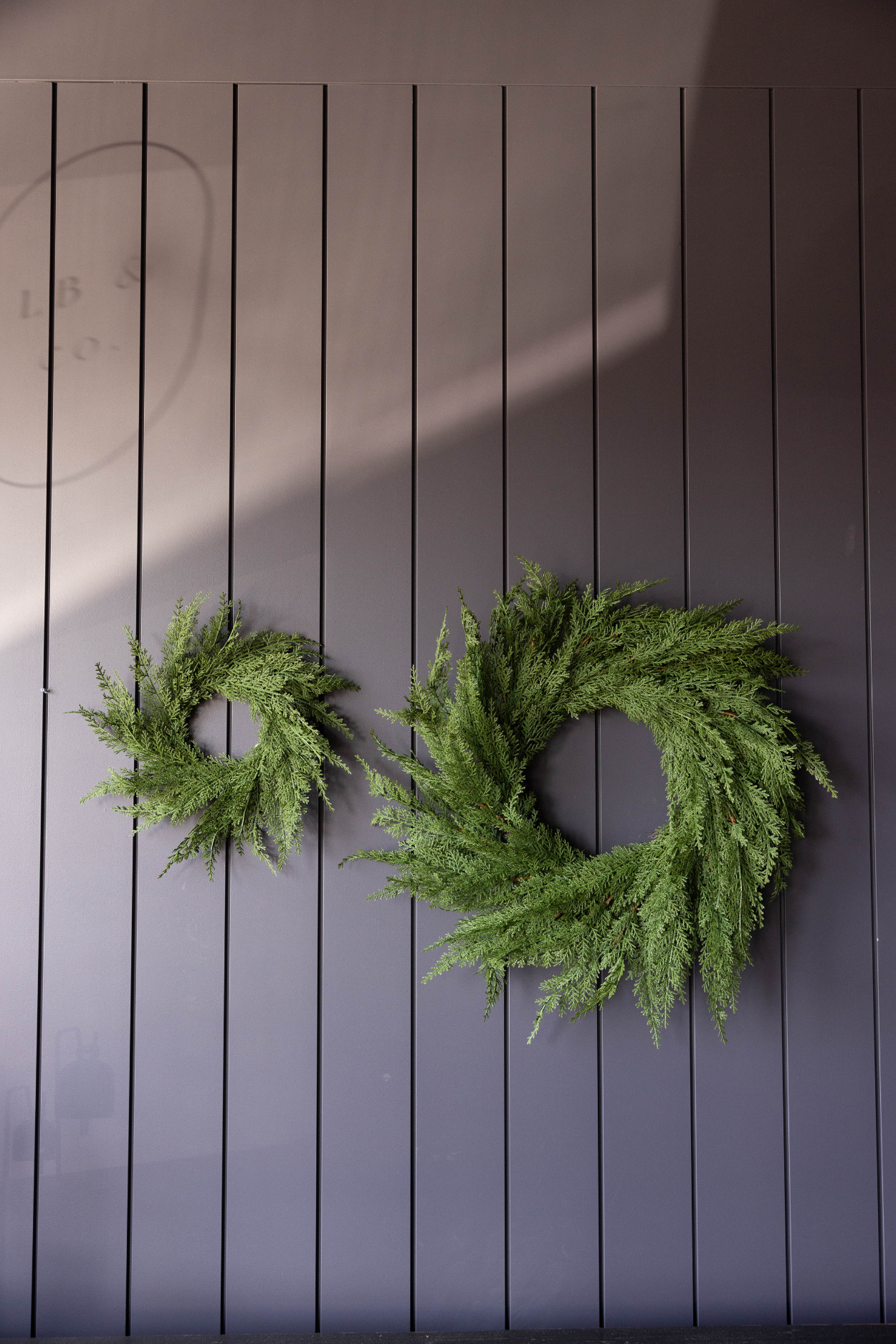 Cypress Pine Wreath 12"