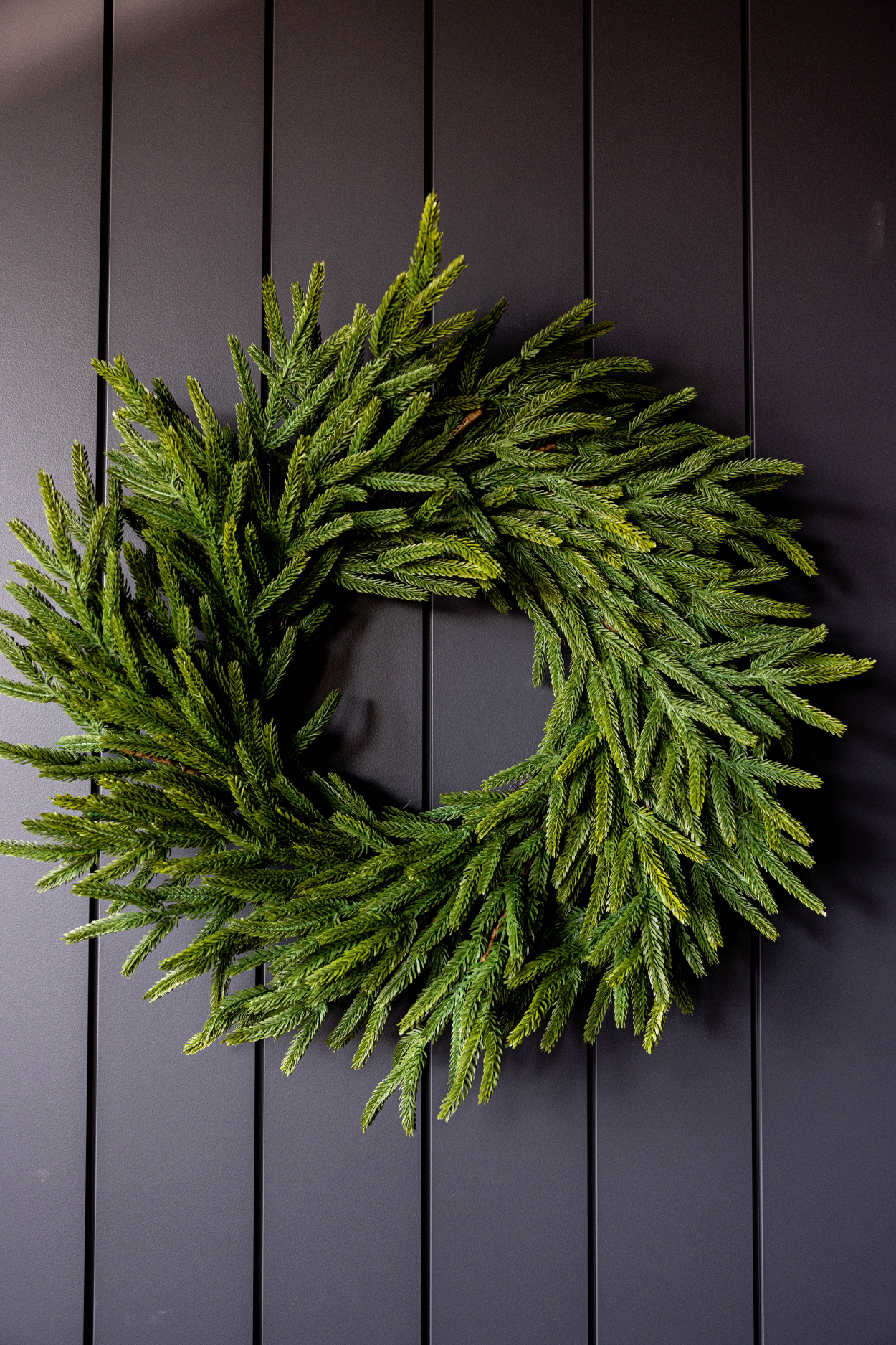 Norfolk Pine Real Touch Wreath 24"