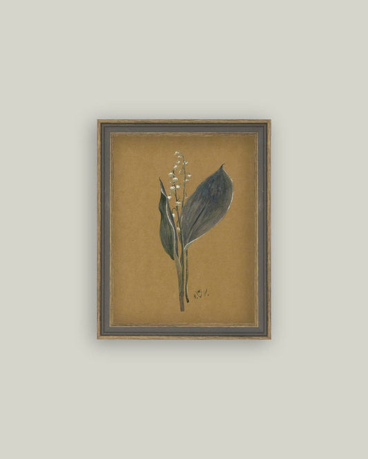 Lily On Brown Framed Antique Art - Luxe B Co