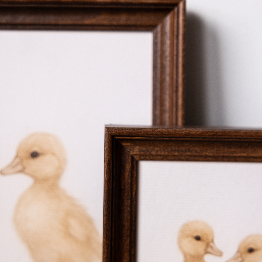 Little Chicks | Antique Inspired Classic Westbury Framed Art By Luxe B Co. 