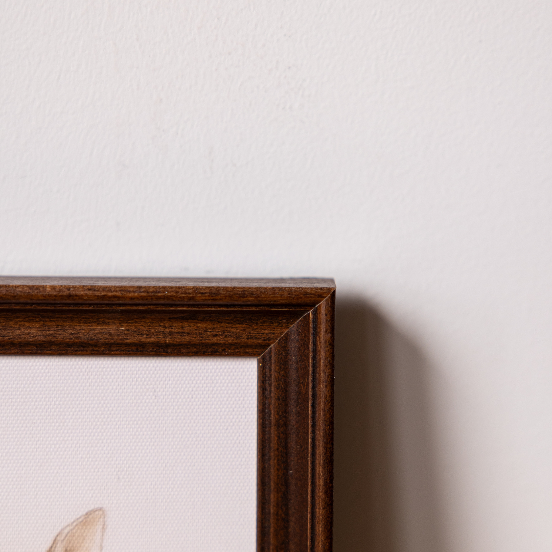 Little Deer | Antique Inspired Classic Westbury Framed Art By Luxe B Co. 