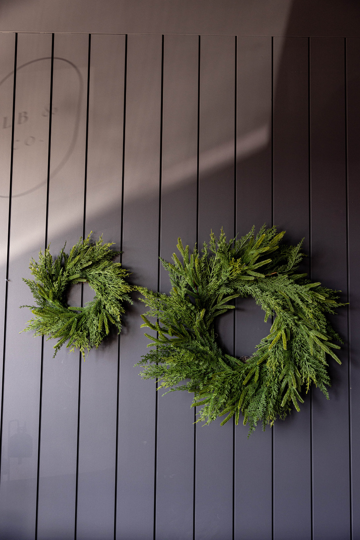 Norfolk & Cypress Pine Mixed Wreath 24"