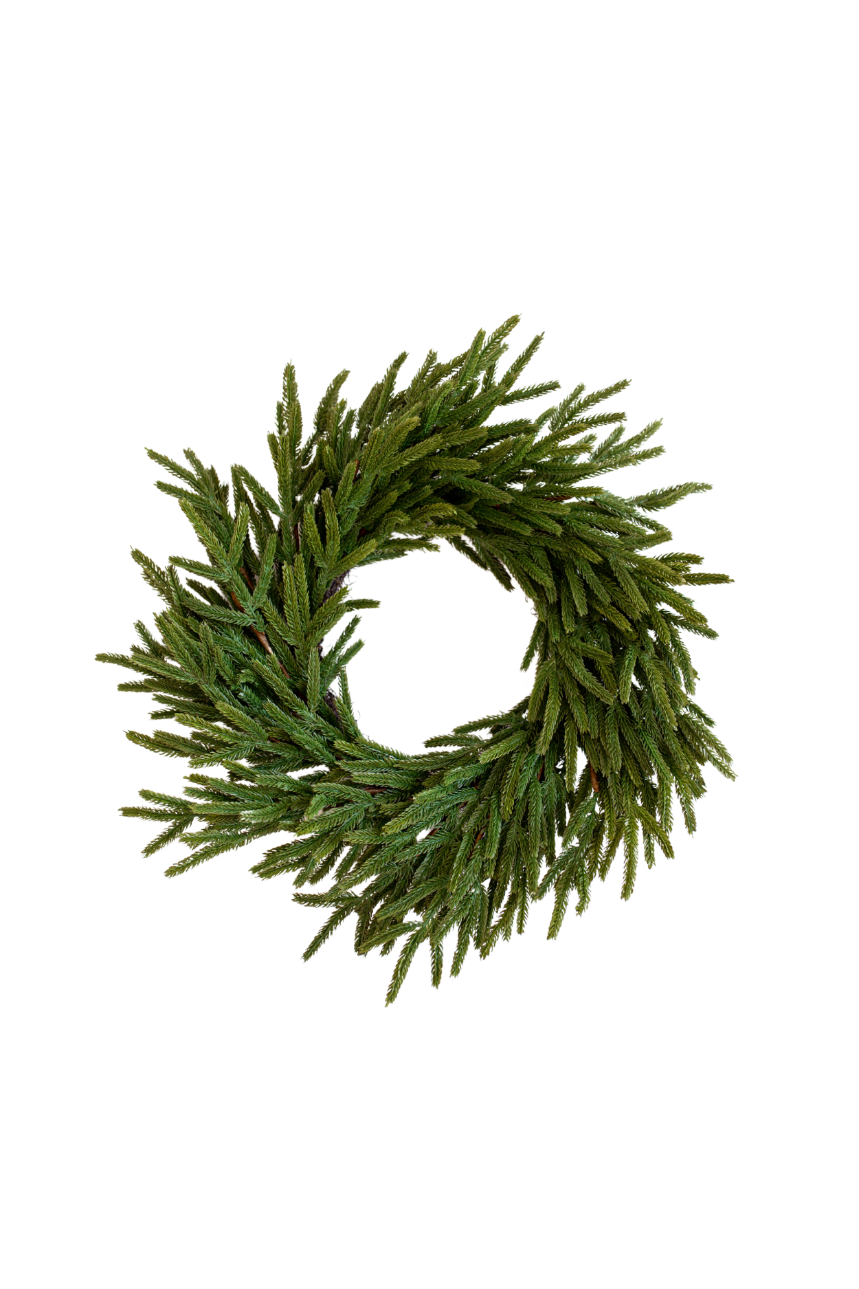 Norfolk Pine Real Touch Wreath 24" | By Luxe B Co.