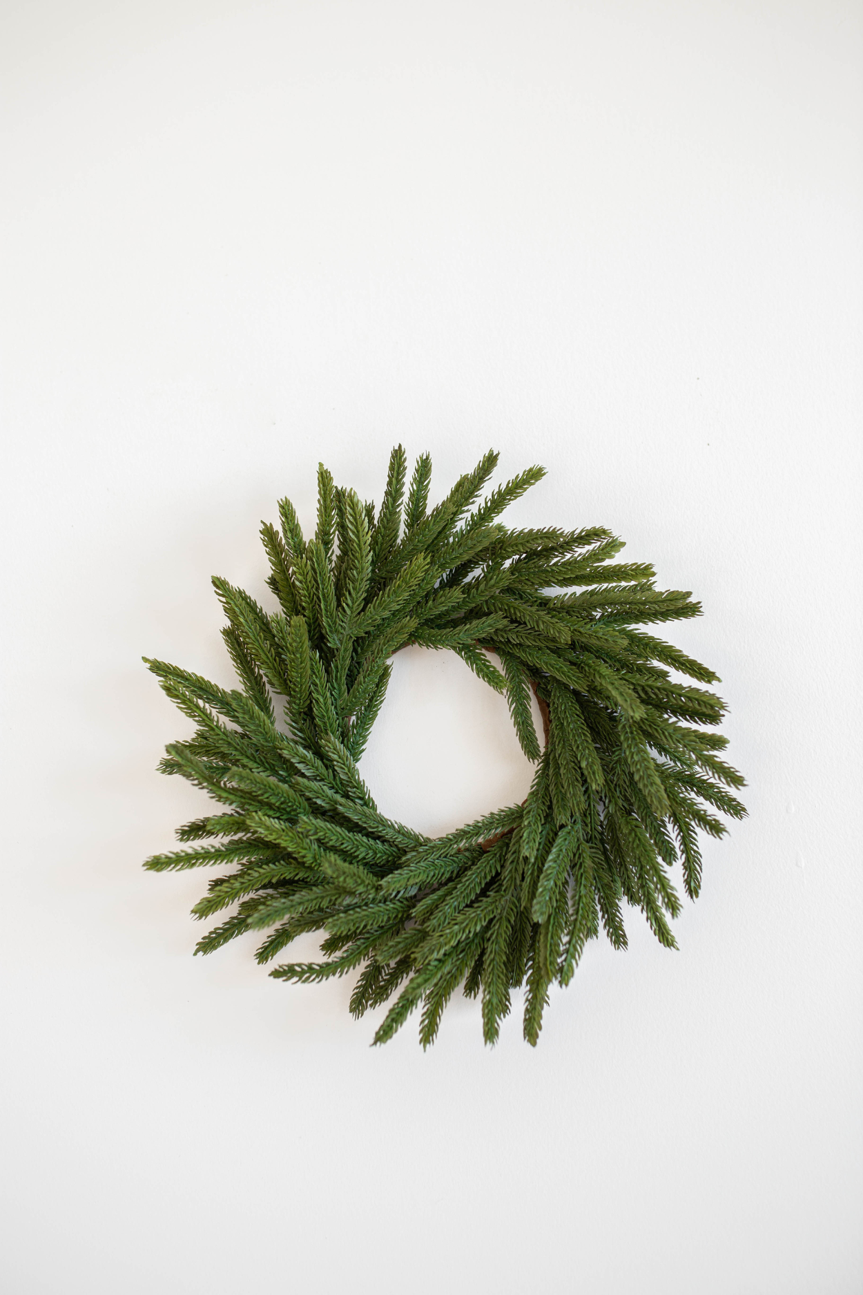 Norfolk Pine Real Touch Wreath 12" | By Luxe B Co. 