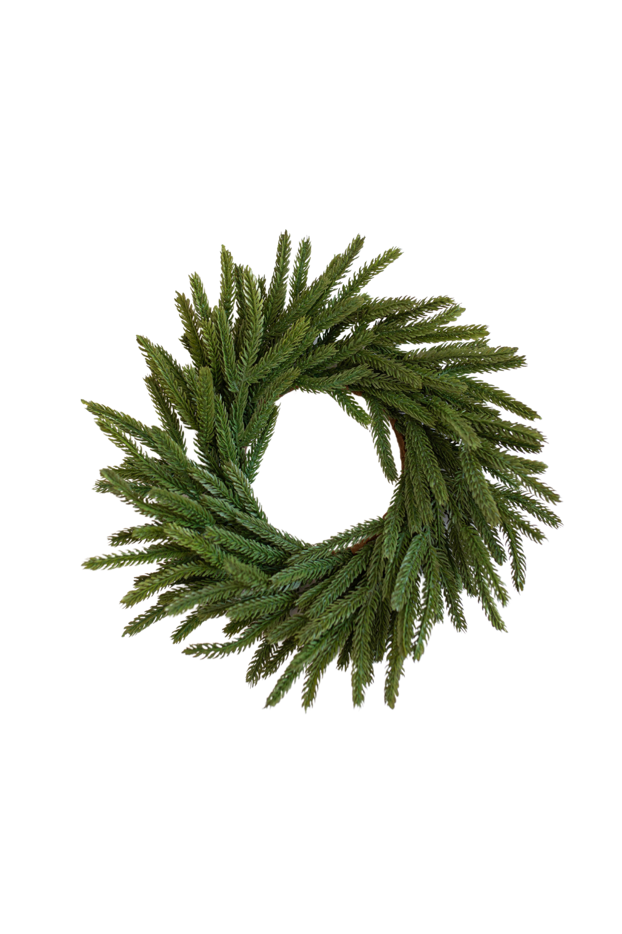 Norfolk Pine Real Touch Wreath 12" | By Luxe B Co. 