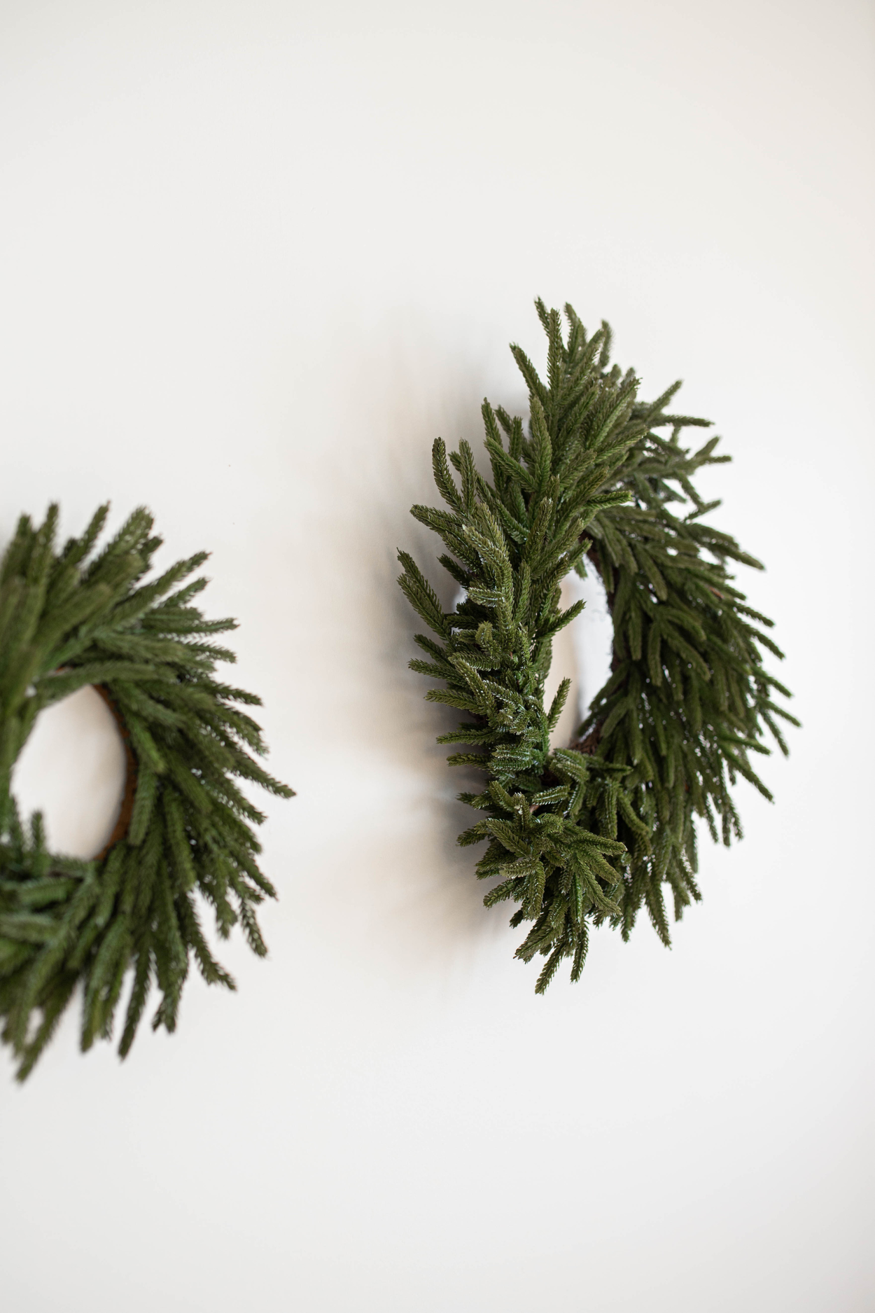 Norfolk Pine Real Touch Wreath 24" | By Luxe B Co.