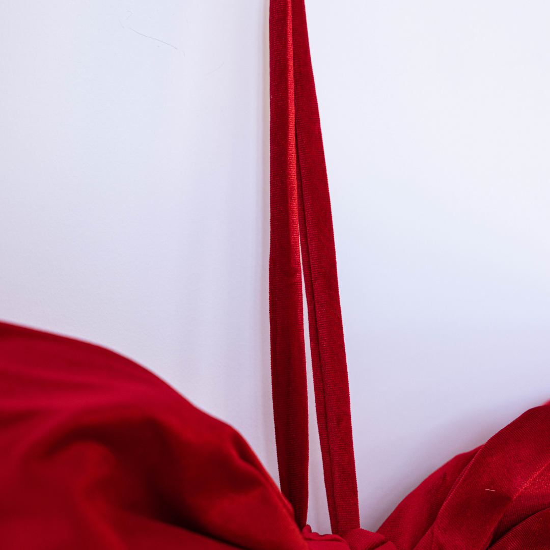 Oversized Ralph Red Velvet Bow By Luxe B Co.