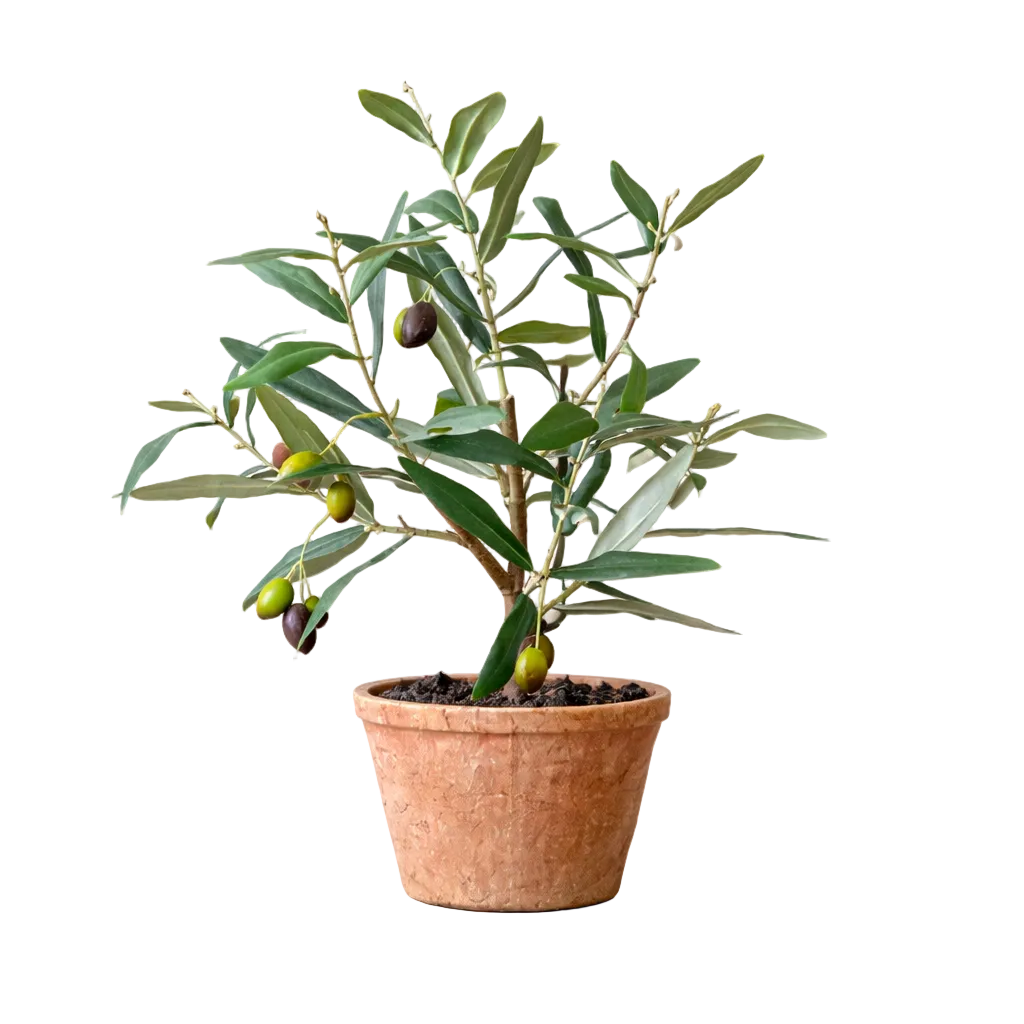 Piccolino Faux Potted Olive Tree | By Luxe B Co. 