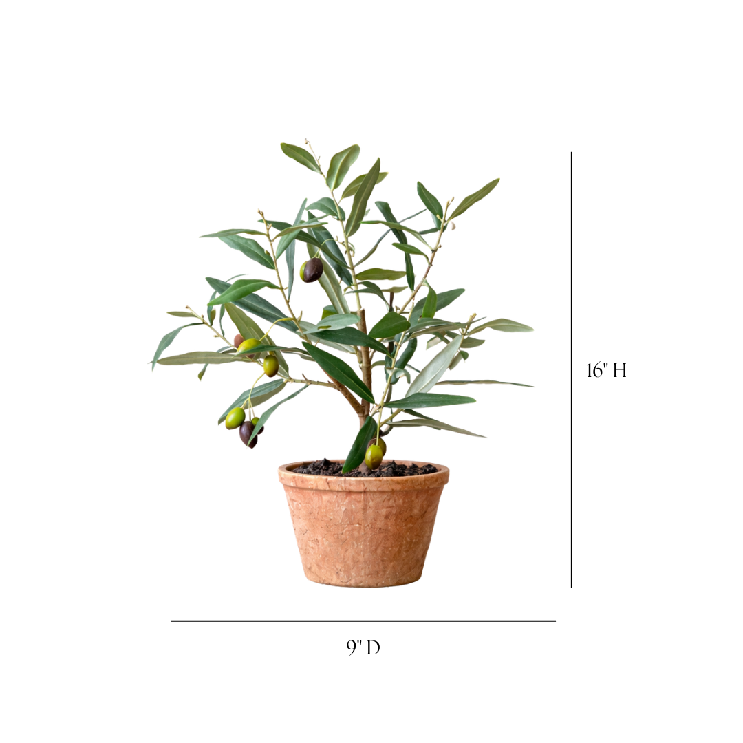 Piccolino Faux Potted Olive Tree | By Luxe B Co 2
