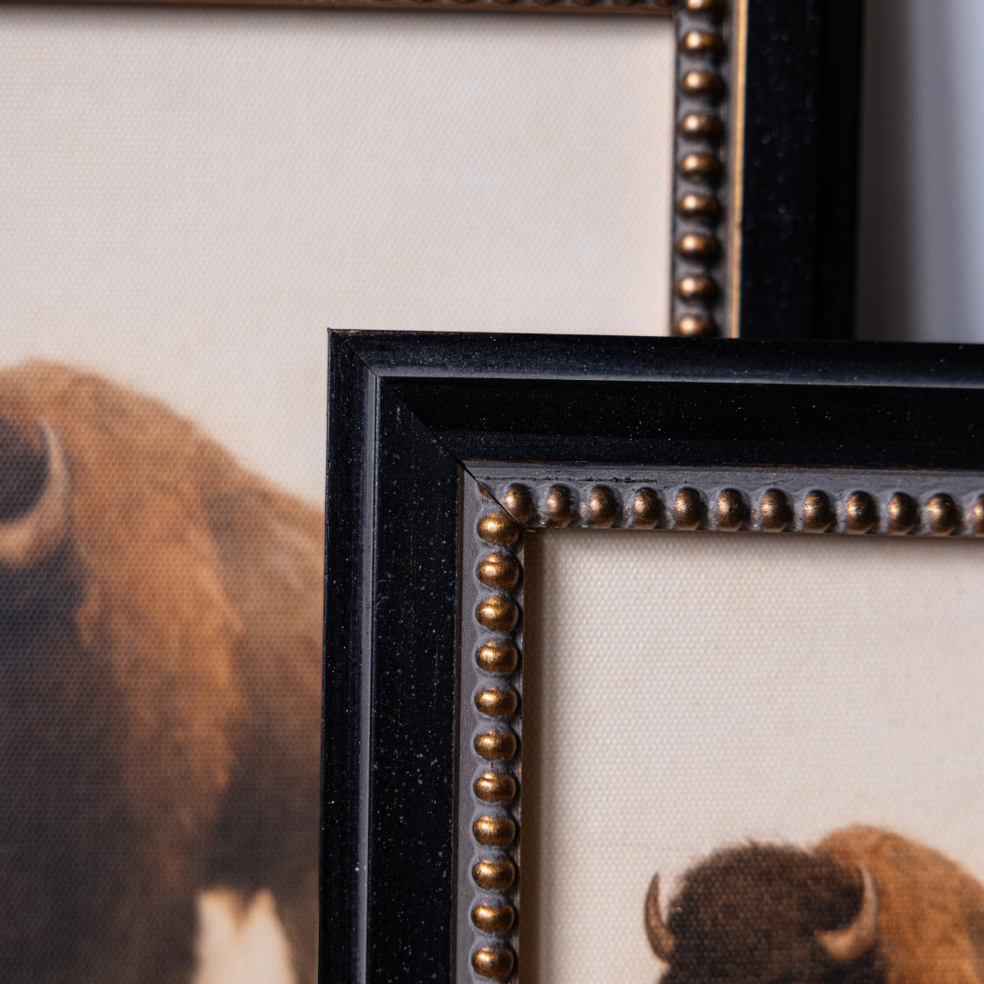 Plains Bison | French Beaded Brass Inspired Framed Art By Luxe B Co. 