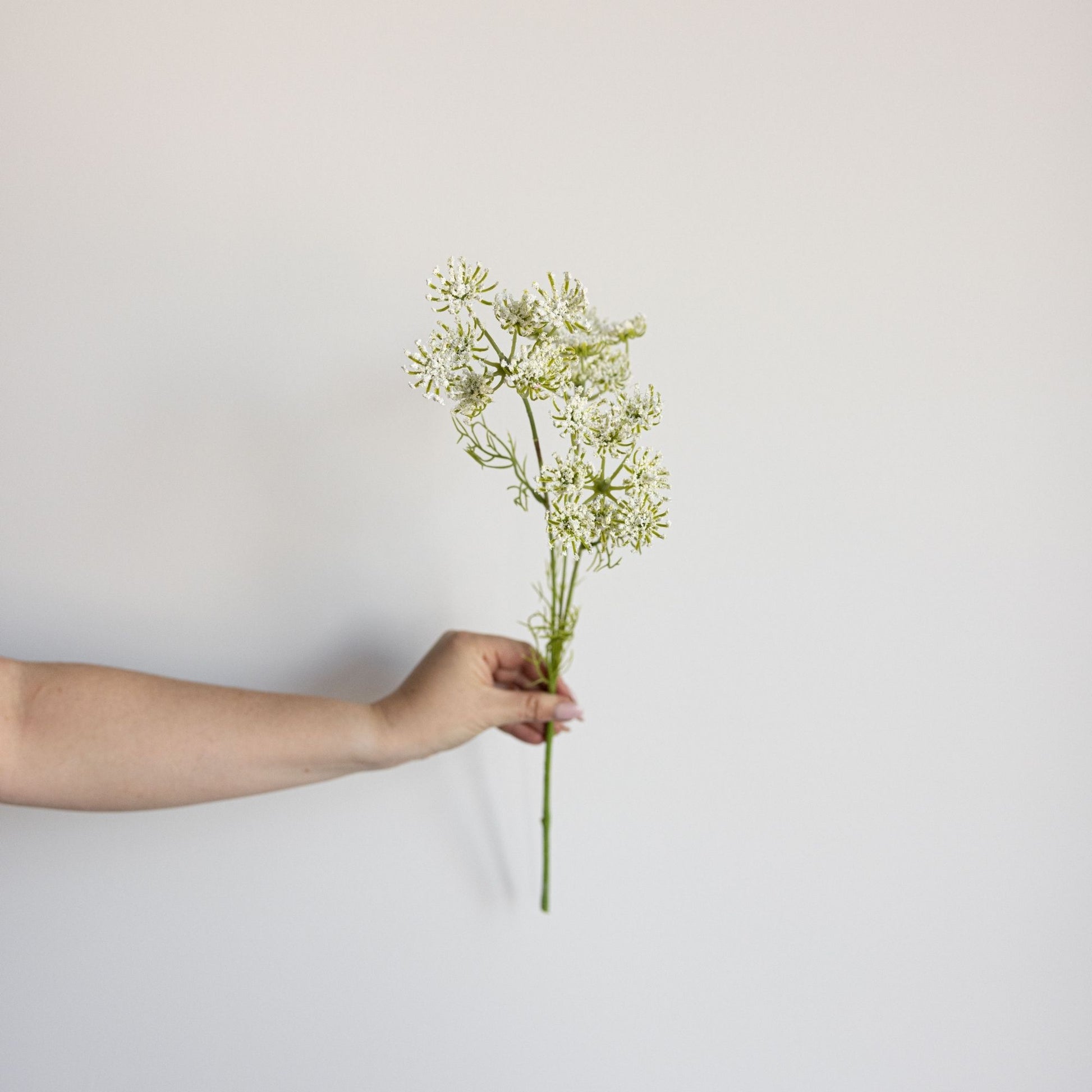 Queen Anne's Lace Stem | By Luxe B Co.