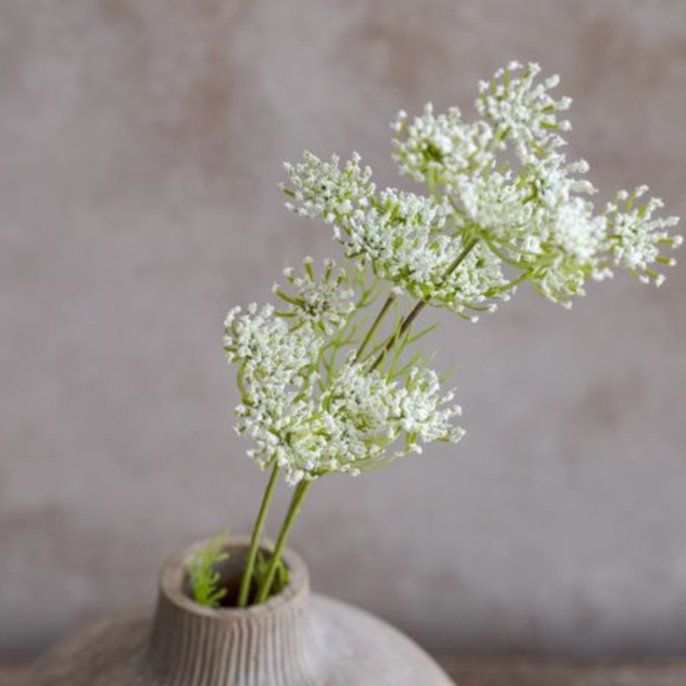 Queen Anne's Lace Stem | By Luxe B Co.