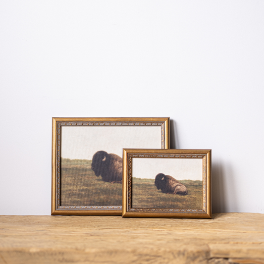 Resting Bison | Antique Inspired Brass Mould Framed Art By Luxe B Co.