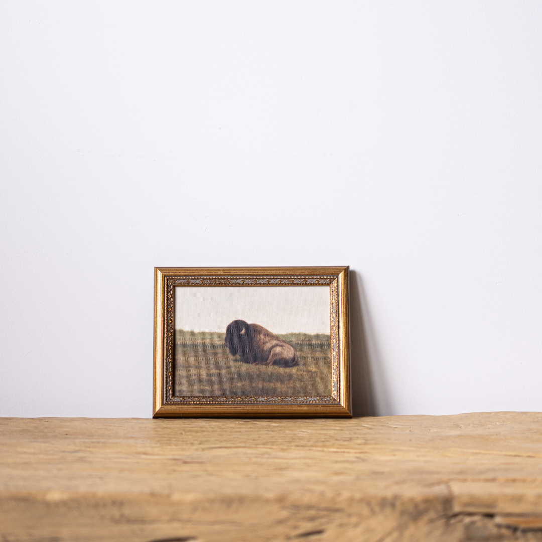 Resting Bison | Antique Inspired Brass Mould Framed Art By Luxe B Co.