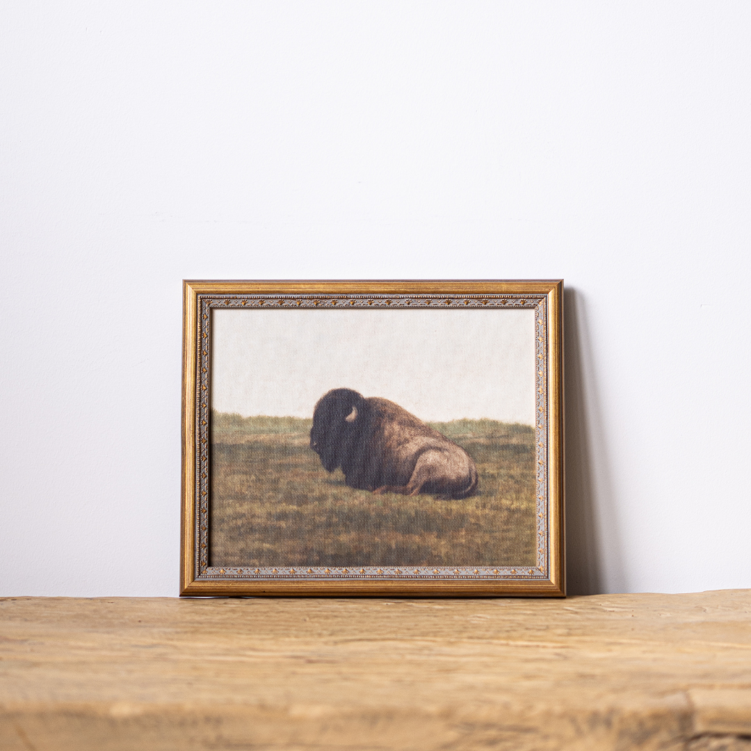 Resting Bison | Antique Inspired Brass Mould Framed Art By Luxe B Co.