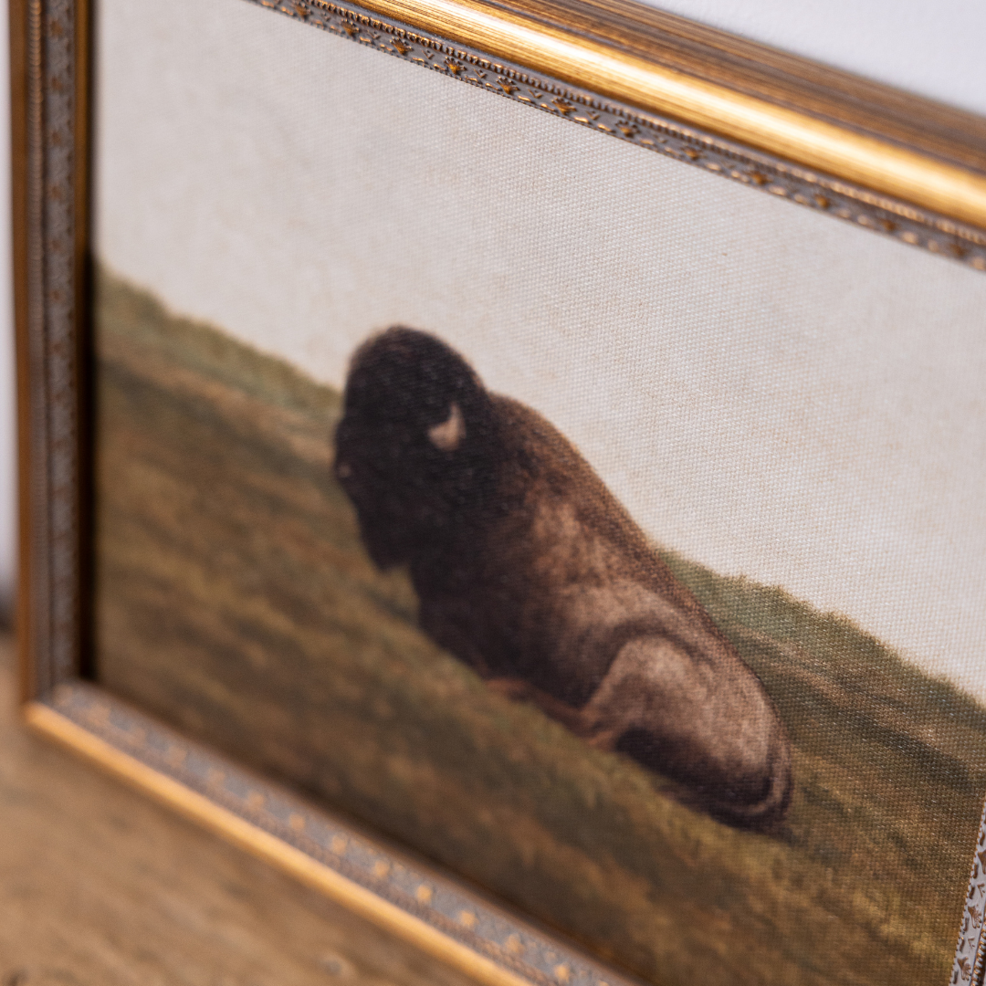 Resting Bison | Antique Inspired Brass Mould Framed Art By Luxe B Co.