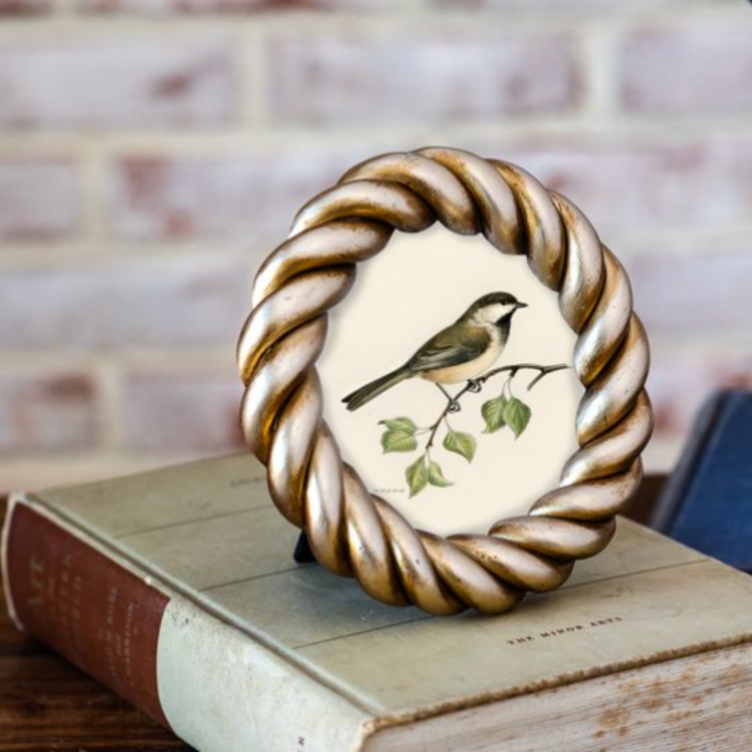 Round resin rope photo frame by Luxe B Co, showcasing a stylish circular design with textured rope accents for home decor.