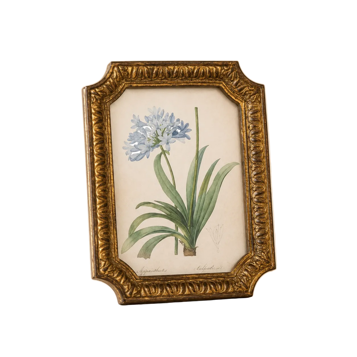 Antique Inspired Gold Photo Frame By Luxe B Co.