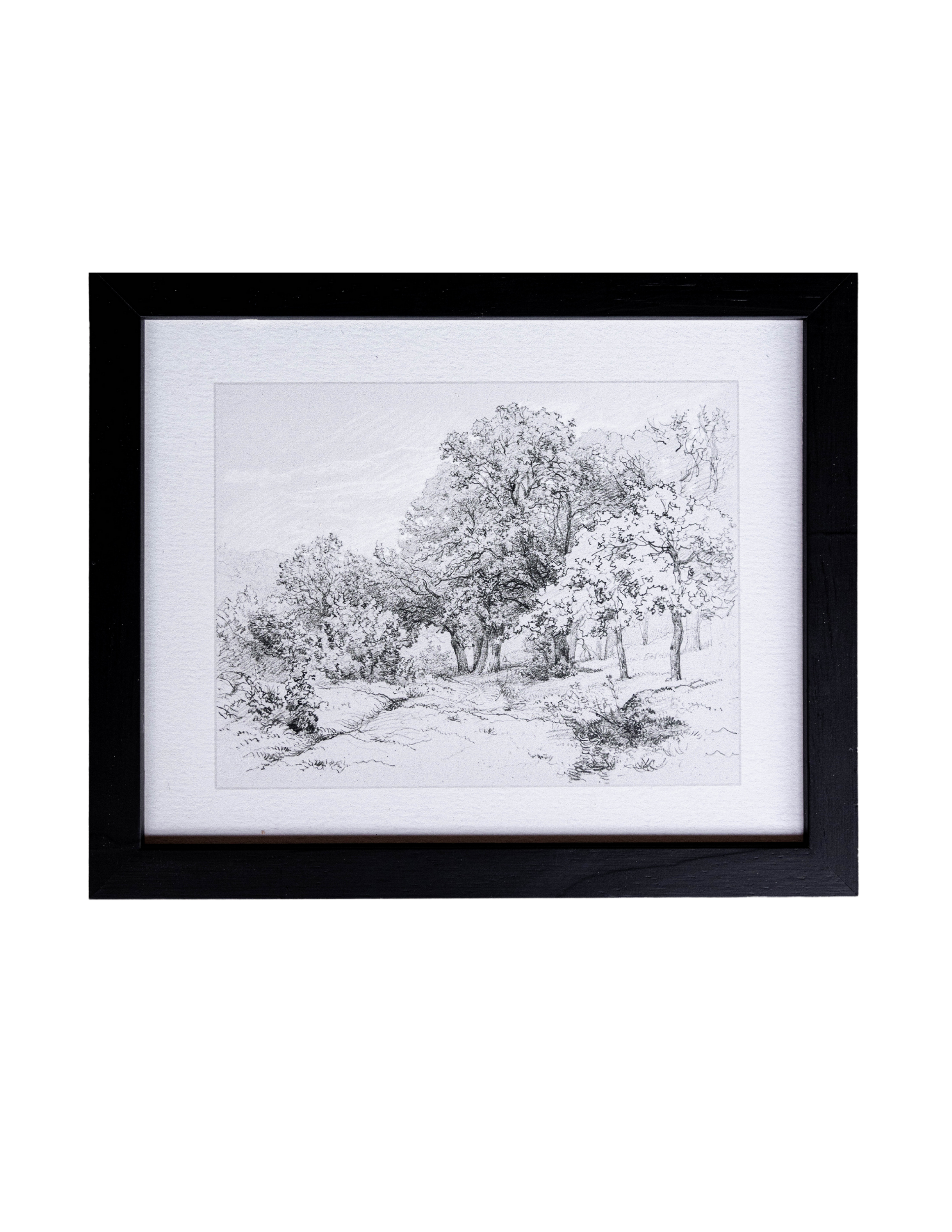 Summer Field Sketch Black Framed Art | By Luxe B Co. 