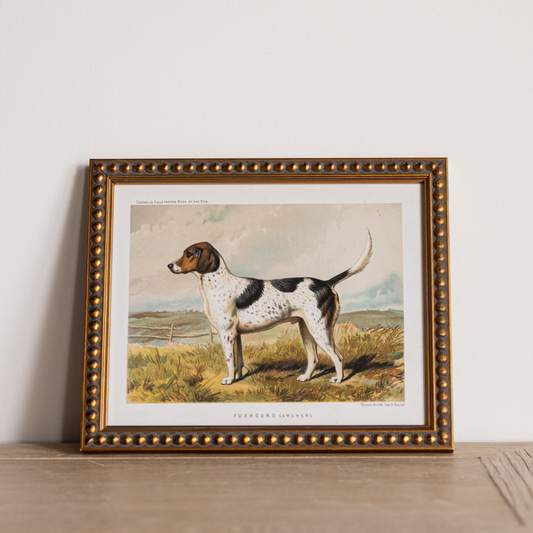 Vintage Foxhound Framed Art | By Luxe B Co.