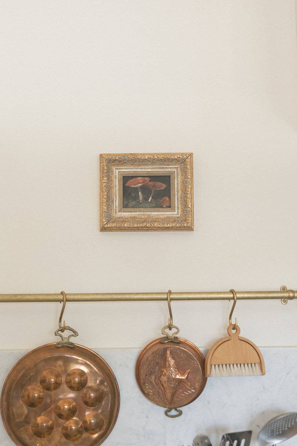 Vintage mushrooms framed antique-inspired art by Luxe B Co featuring detailed mushroom illustrations on a classic frame.