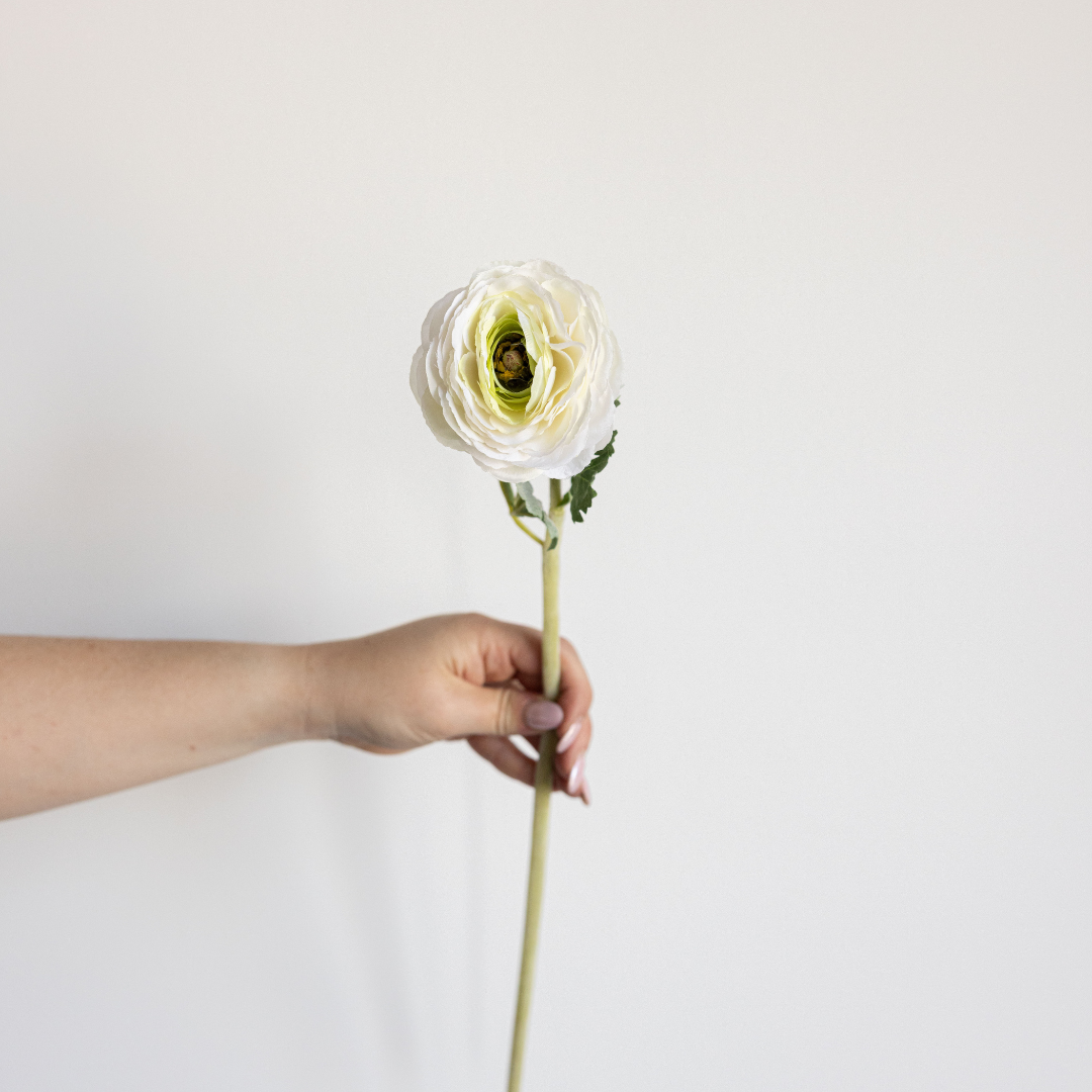 White Ranunculus Stems | By Luxe B Co.