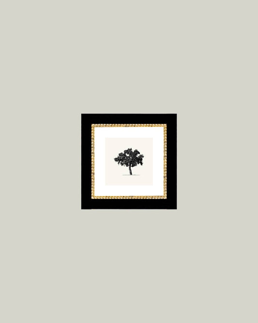Tree Framed Antique Art - Luxe B Co