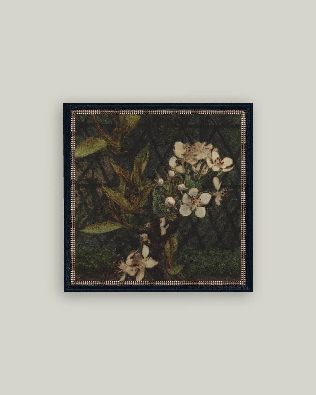 Dark Apple Blossoms Framed Antique Art