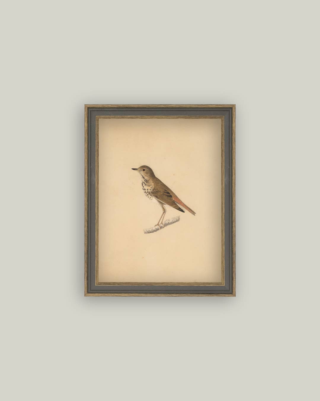 Bird Framed Antique Art - Luxe B Co